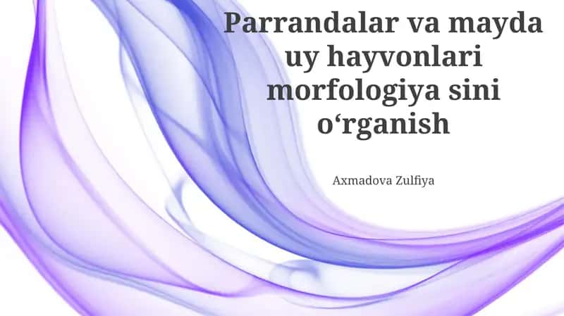 Qushlar va kichik uy hayvonlarining morfologiyasi