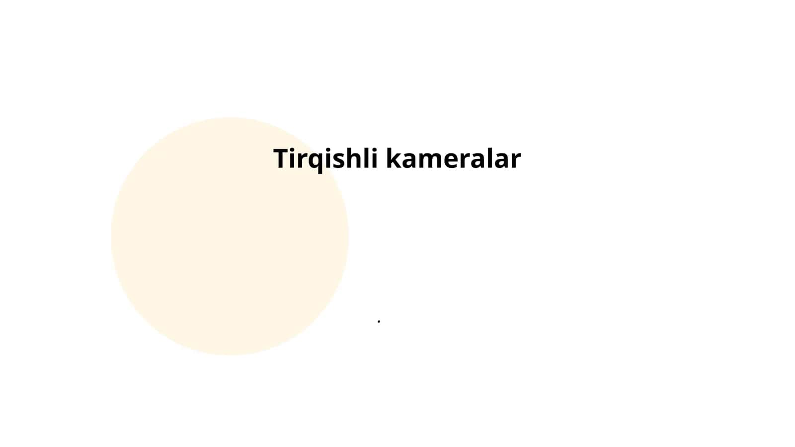 Tirqishli kameralar