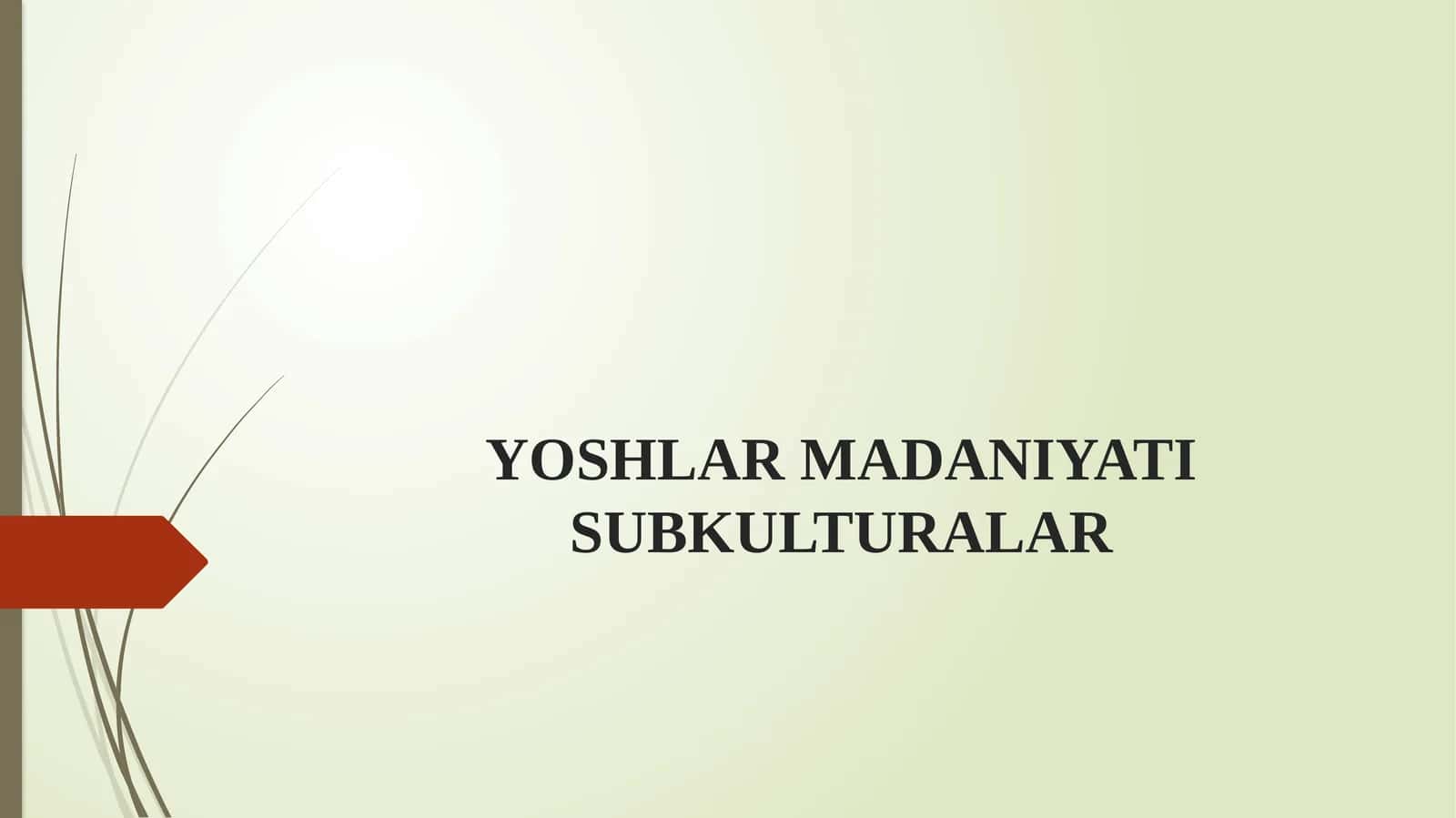 YOSHLAR MADANIYATI SUBKULTURALAR