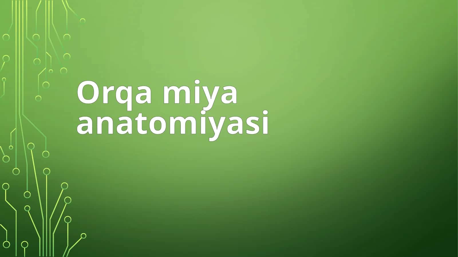 Orqamiyaanatomiyasi