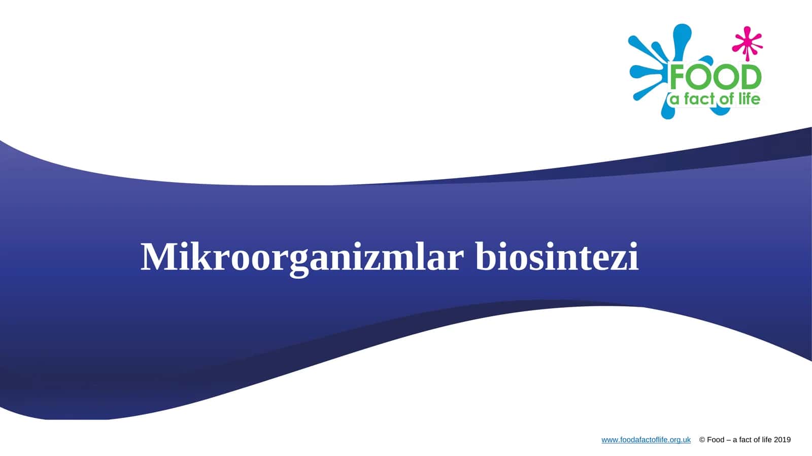 Mikroorganizmlar biosintezi