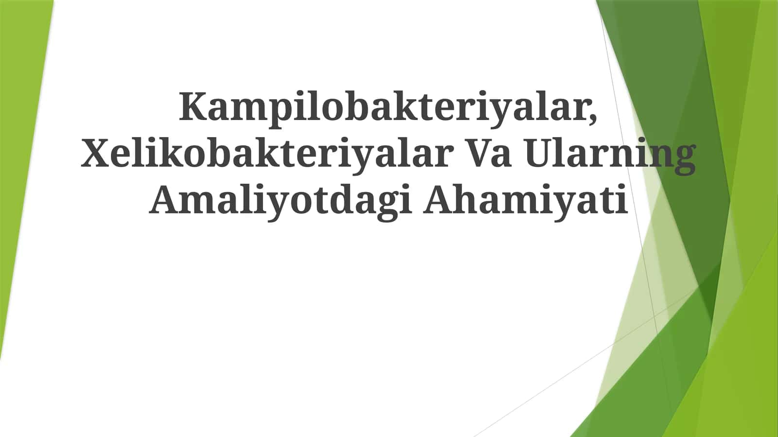 Kampilobakteriyalar, Xelikobakteriyalar Va Ularning Amaliyotdagi Ahamiyati