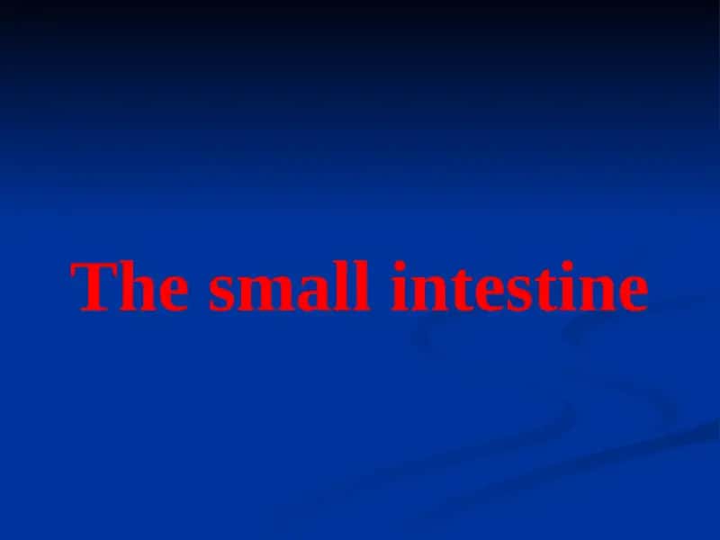 The small intestine
