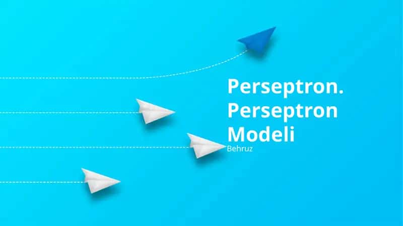 Perseptron Modeli