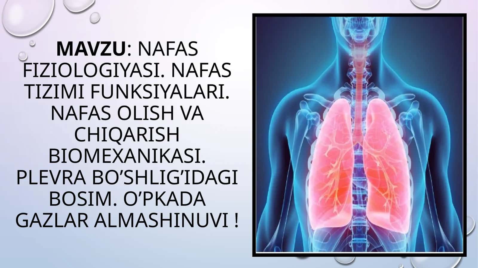 NAFASFIZIOLOGIYASI. NAFAS TIZIMI FUNKSIYALARI. NAFAS OLISH VA CHIQARISH BIOMEXANIKASI. PLEVRA BO’SHLIG’IDAGI BOSIM. O’PKADA GAZLAR ALMASHINUVI!