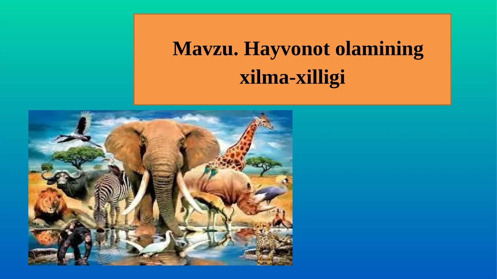 Hayvonot olamining xilma-xilligi