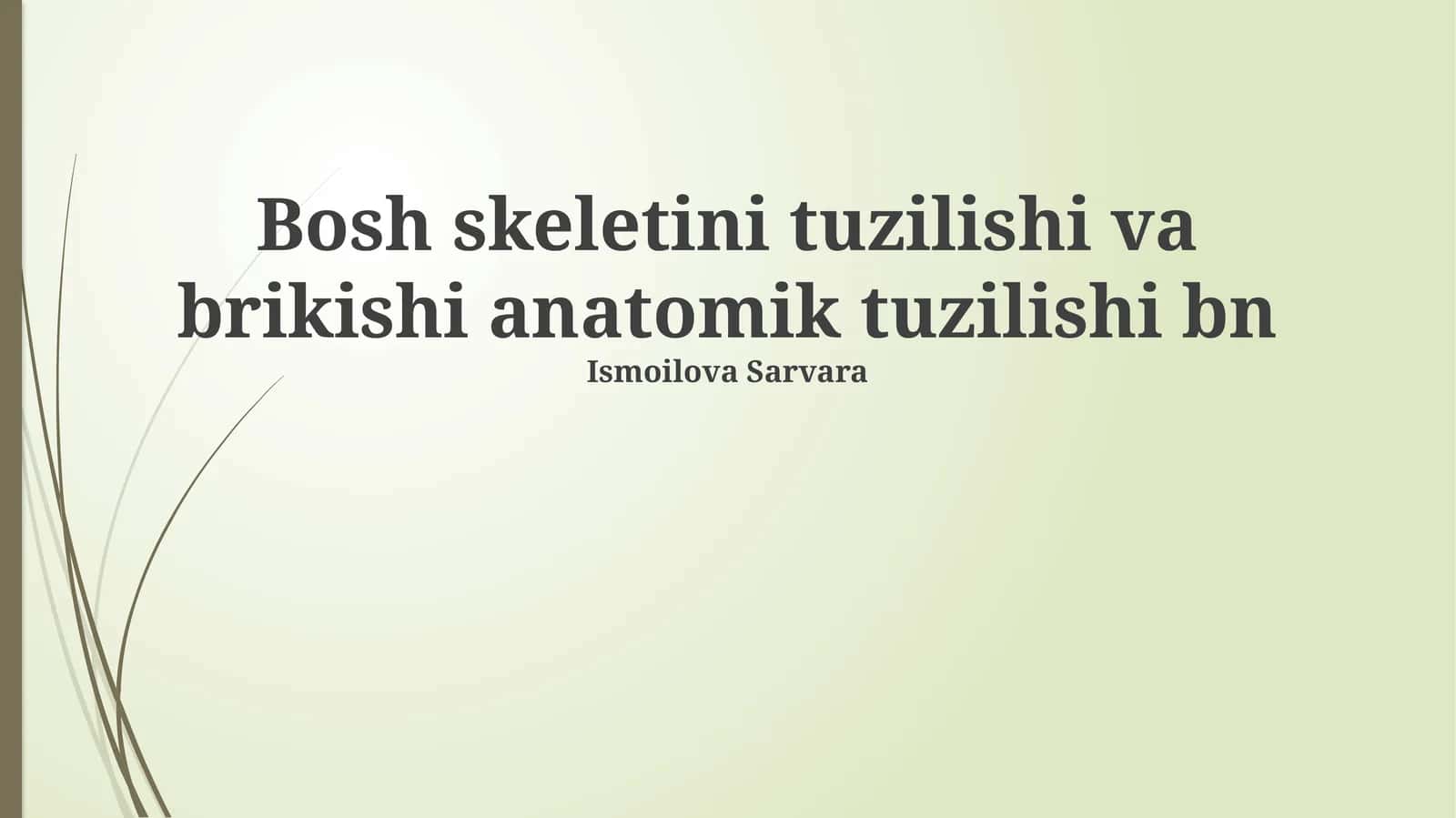 Bosh skeletini tuzilishi va brikishi anatomik tuzilishi bn
