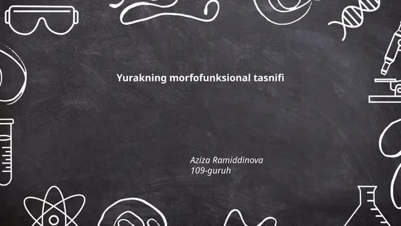 Yurakning morfofunksional tasnifi