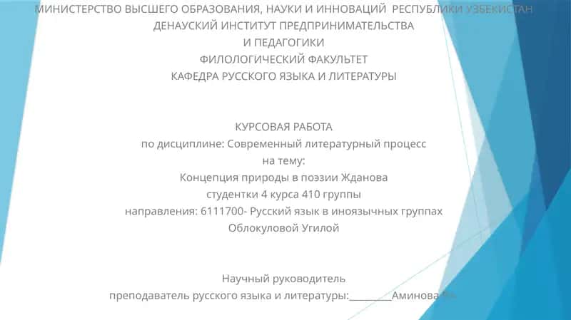 Курсовая работа по дисциплине: Современный литературный процесс