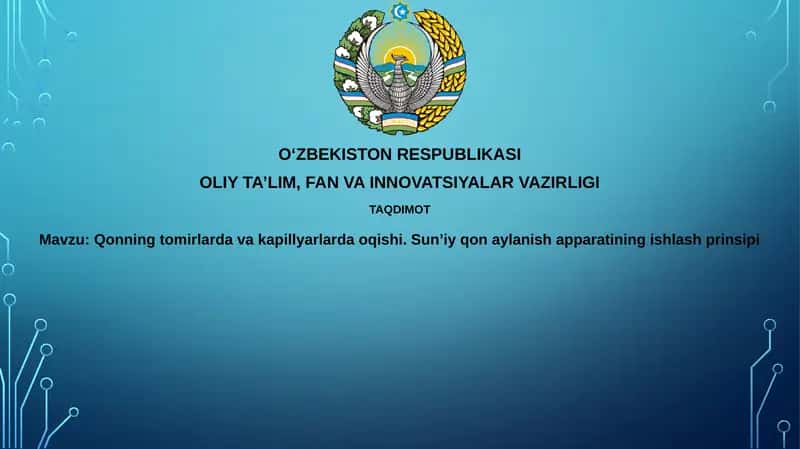 Sun'iy yurak