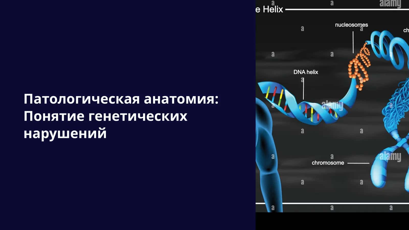 Генетические нарушения
