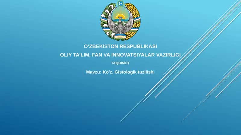 Ko'z.Gistologik tuzilishi