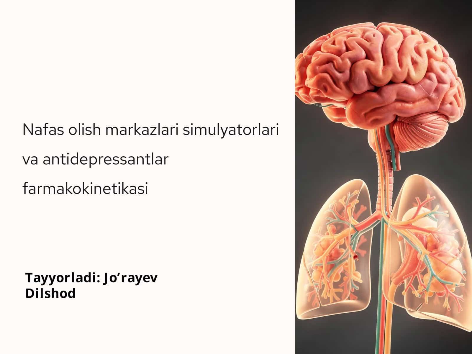 Nafas olish markazlari va Antidepressantlar Farmakokinetikasi