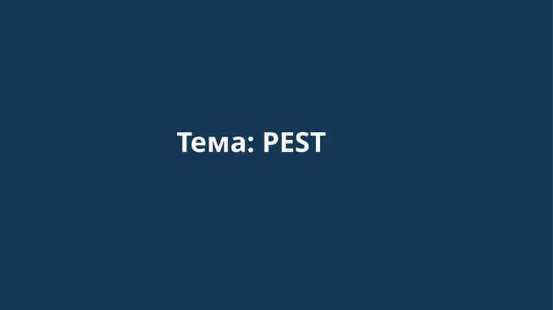 PEST analiz