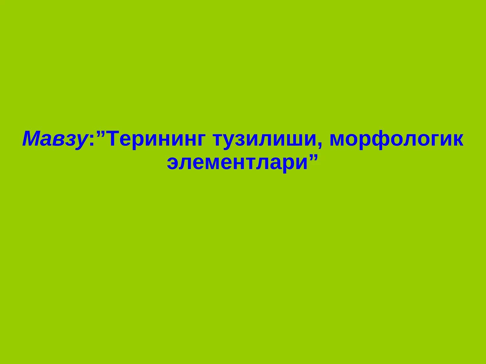Терининг тузилиши, морфологик элементлари