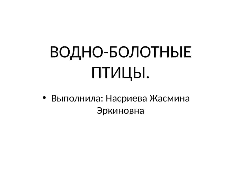 ВОДНО-БОЛОТНЫЕ ПТИЦЫ