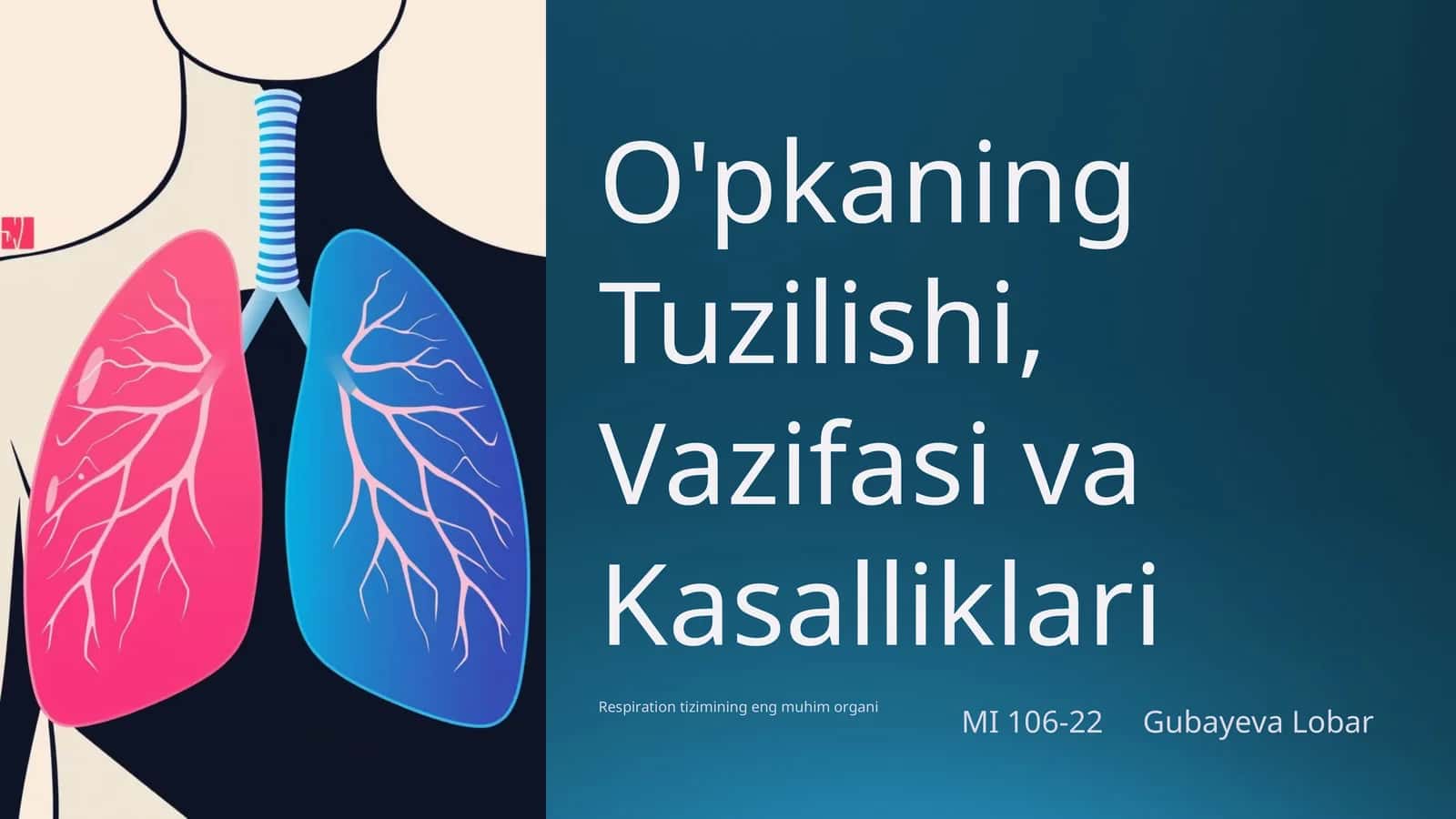 O'pkaning Tuzilishi, Vazifasi va Kasalliklari