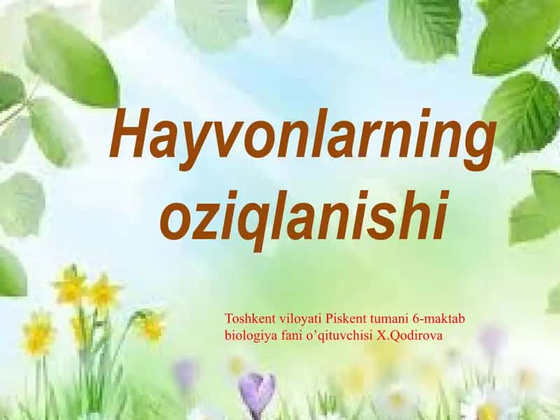 "Hayvonlarning Nafas Olish Organlari Evolutsiyasi"