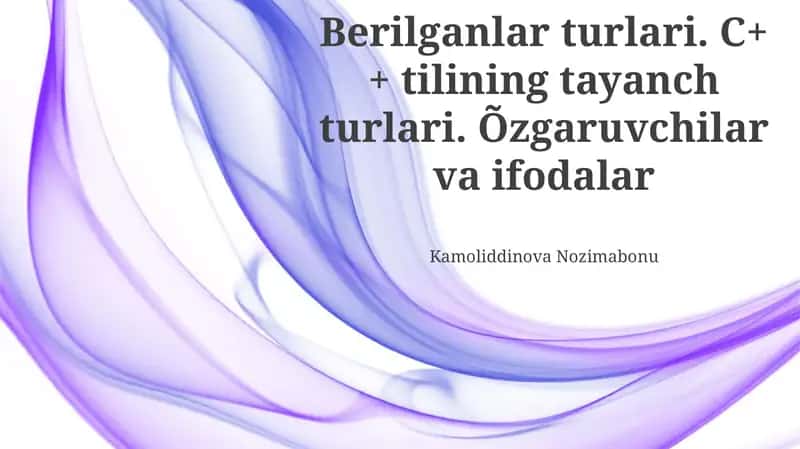 Ma'lumot turlari va o'zgaruvchilar