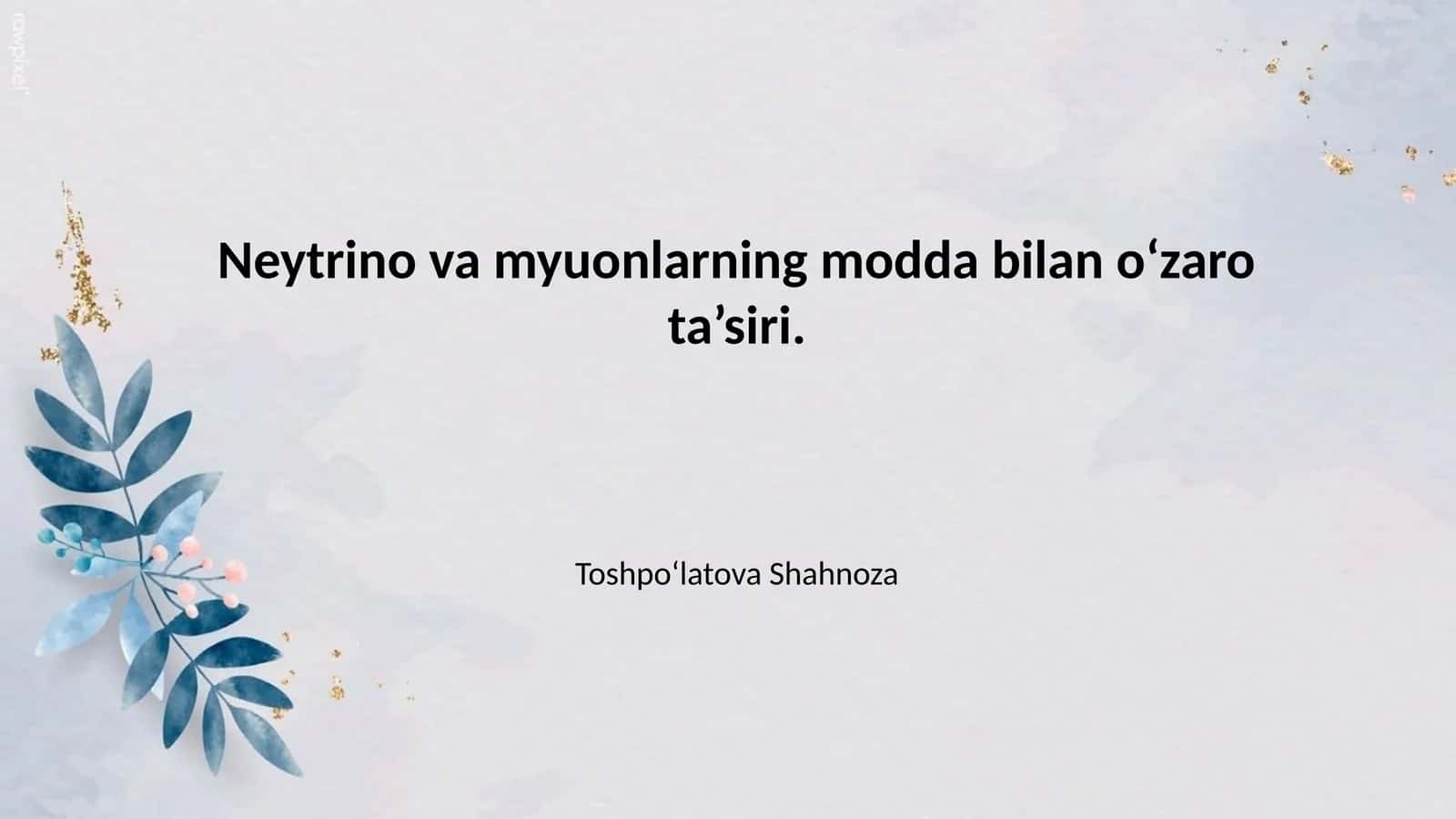 Neytrino va Myuonlarning Fizik Tabiatini Tushunishning Dolzarbligi