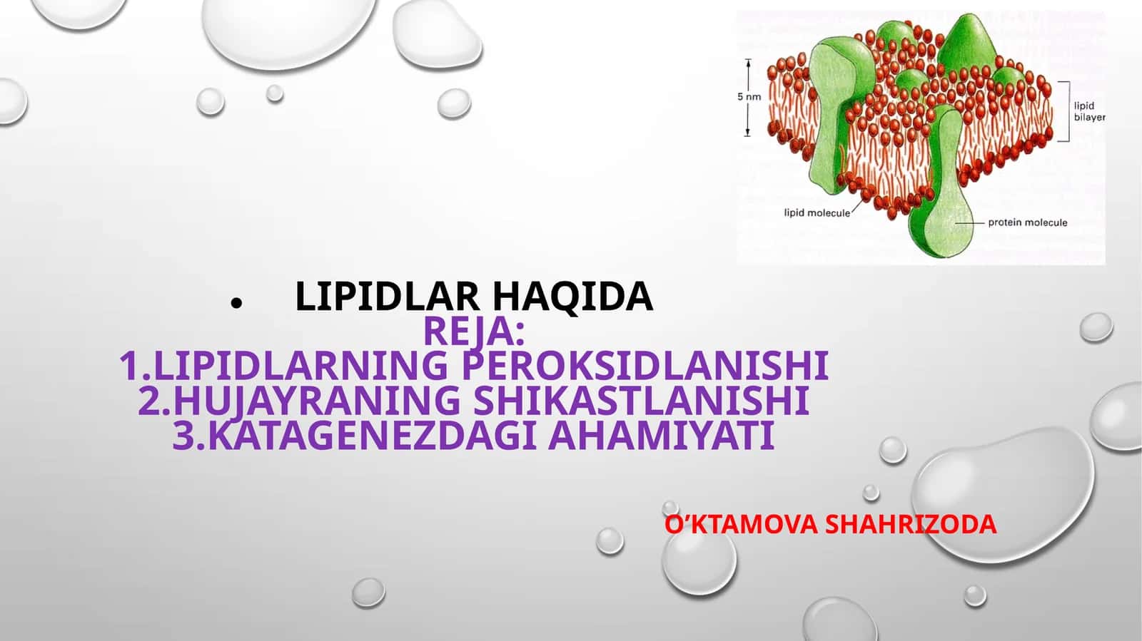 Lipidlar HaqidaReja:1.Lipidlarning Peroksidlanishi2.Hujayraning shikastlanishi3.Katagenezdagi Ahamiyati