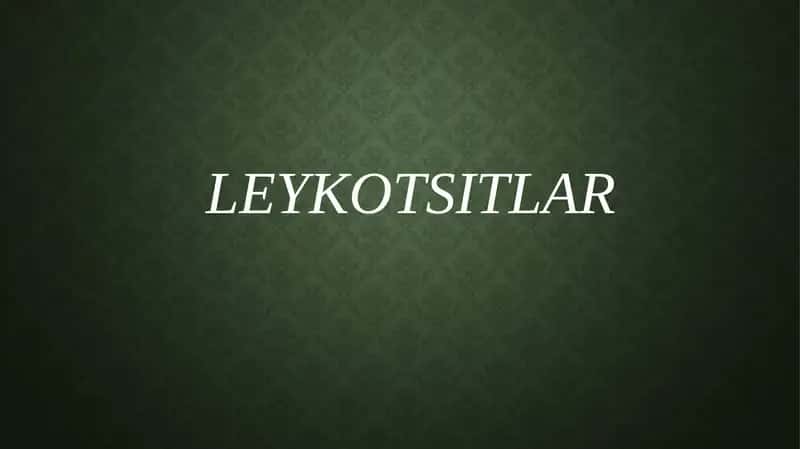 Leykotsitlar