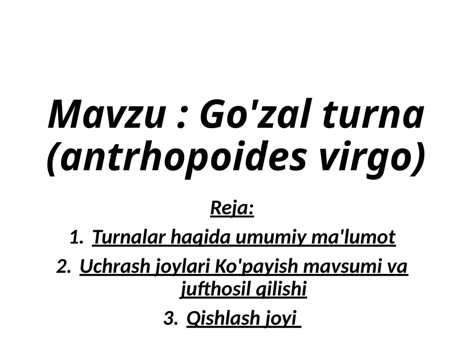 Go'zalturna(antrhopoidesvirgo)
